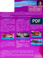 Ameloblastoma POSTERR.pdf