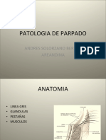 Párpados - PRESENTACIÓN DIAPOSITIVAS