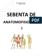 AnatomoFisiologia - Sistema Esqueletico, Muscular e Nervoso
