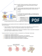 Oncogenes Oncogenes