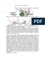 9 Neurotrans y Enferm mnbn