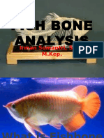 3b. Fish Bone Analysis