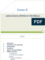 TEMA_X_Amino_Acidos.ppt