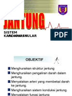 21595343-Jantung