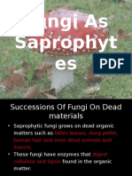 1.fungi As Saprophytes