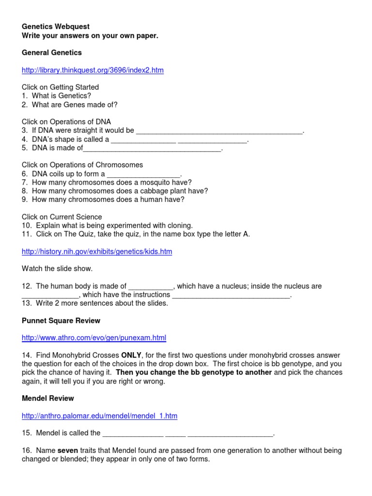 11-simple-machines-worksheet-answer-key-worksheeto