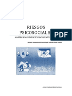 Trabajo Riesgos Psicosociales PDF