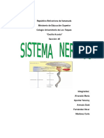 EL SISTEMA NERVIOSO (Fisiopatologia Moya).docx