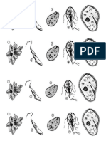 23 - Protozoários para imprimir.pdf