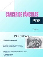 Cáncer de páncreas: Revisión anatomofisiológica y clínica