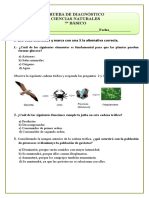 Ciencias 7o básico diagnóstico