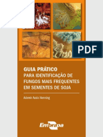 FOLHETO Identificacao de Fungos OnLine PDF