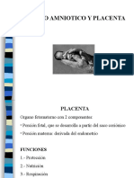 6.- Placenta.ppt