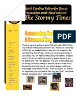 Stormy Times - Feb 2005