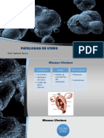 patologias de uterocopiaest