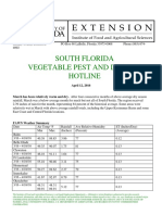 South Florida Vegetable Pest and Disease Hotline For April 12, 2016