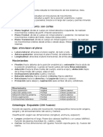 Anatomía del movimiento y los tres sistemas óseo-articular-muscular