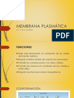 Membrana celular: estructura y funciones en