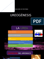 IV.I Ureogénesis