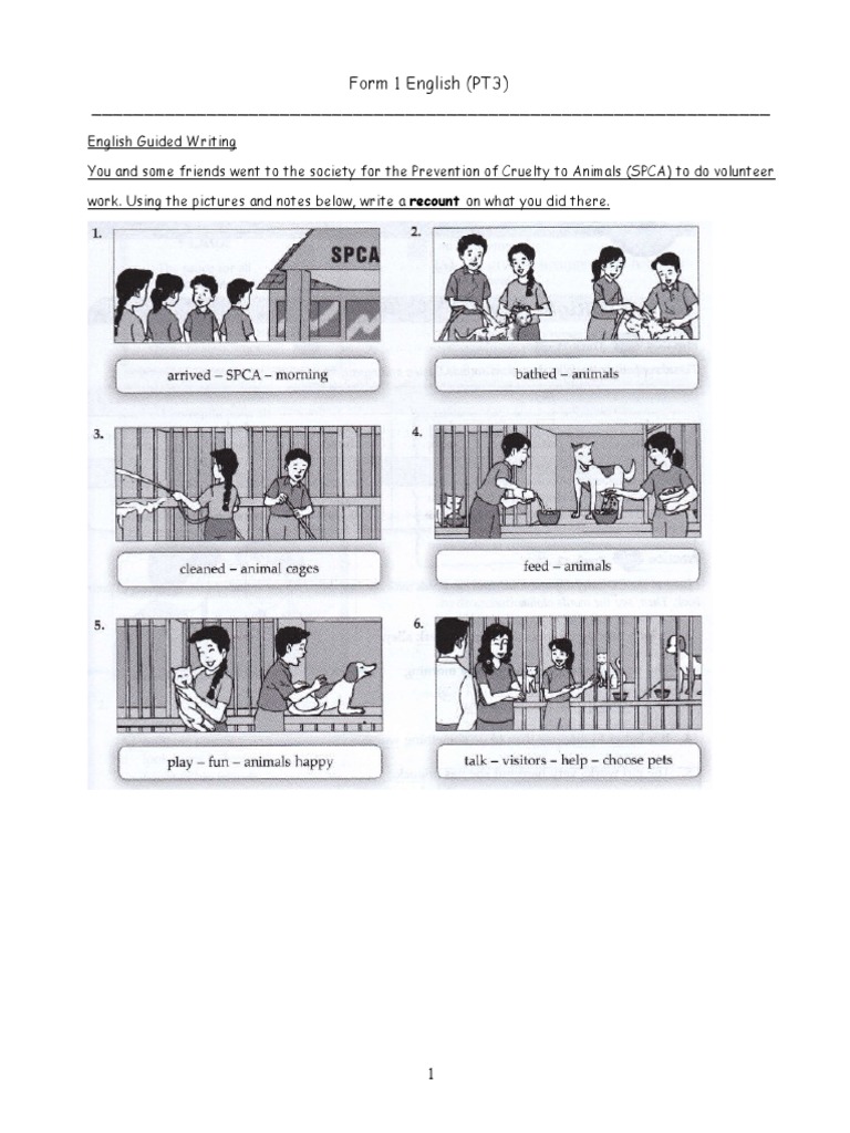 Spca head office image