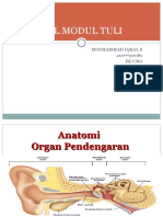 Anatomi & Histologi telinga