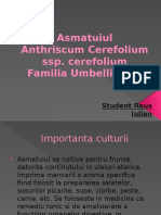 Asmatuiul - Proiect La Legumicultura