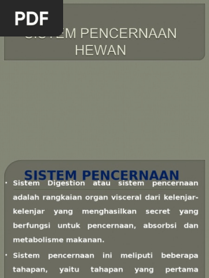 Sistem Pencernaan Hewan