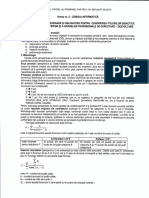 Anexa2 Informatica PDF