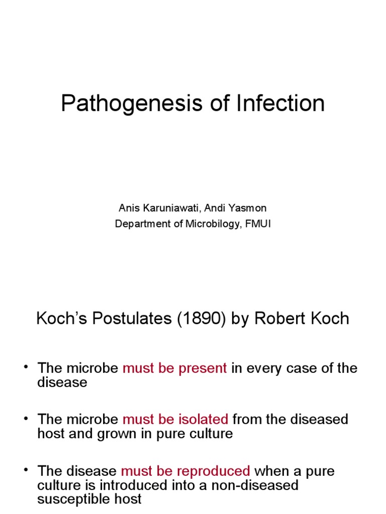 Infection Pathogenesis Overview | PDF | Virus | Bacteria