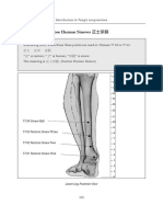 Three Sinews: Restore Human Sinews 正士宗筋: Lower Leg, Posterior View