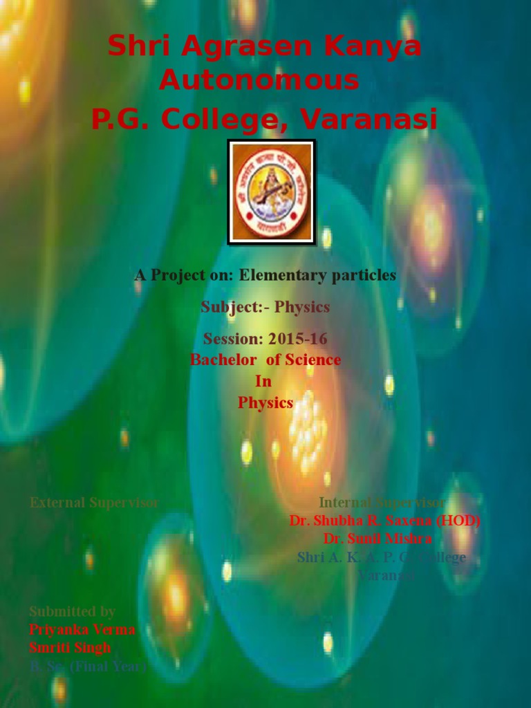Elementary Particles Project | PDF | Elementary Particle | Neutrino