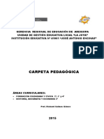 2016 Fcc Carpeta Pedagogica