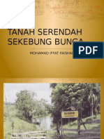 Sejarah Serendah Sekebung Bunga