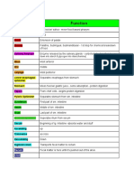 Graphic Organizer