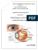 Lucrare Practica. Analizatorul Optic