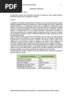 Apostila de Massoterapia