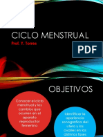ciclo menstrual 123