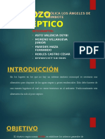 Pozo Séptico Exposicion