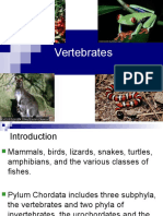 Vertebrates