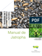 Manual de Jatropha - Version en Espanol 200 - Ir. Eric Van Der Putten, Ir. Ywe Jan Frank