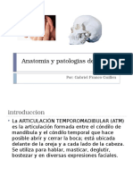 Anatomía y Patologías de La ATM