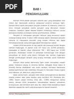 Download Referat Demam Tifoid Pada Kehamilan by FauziaEvaLatifahS SN308499241 doc pdf