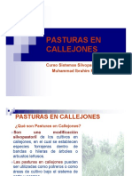 Clase Pasturas en Callejones 2011