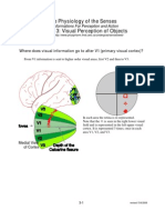 The Physiology of The Senses Lecture 3: Visual Perception of Objects