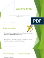 D.S Nº313-Presentacion MLPR