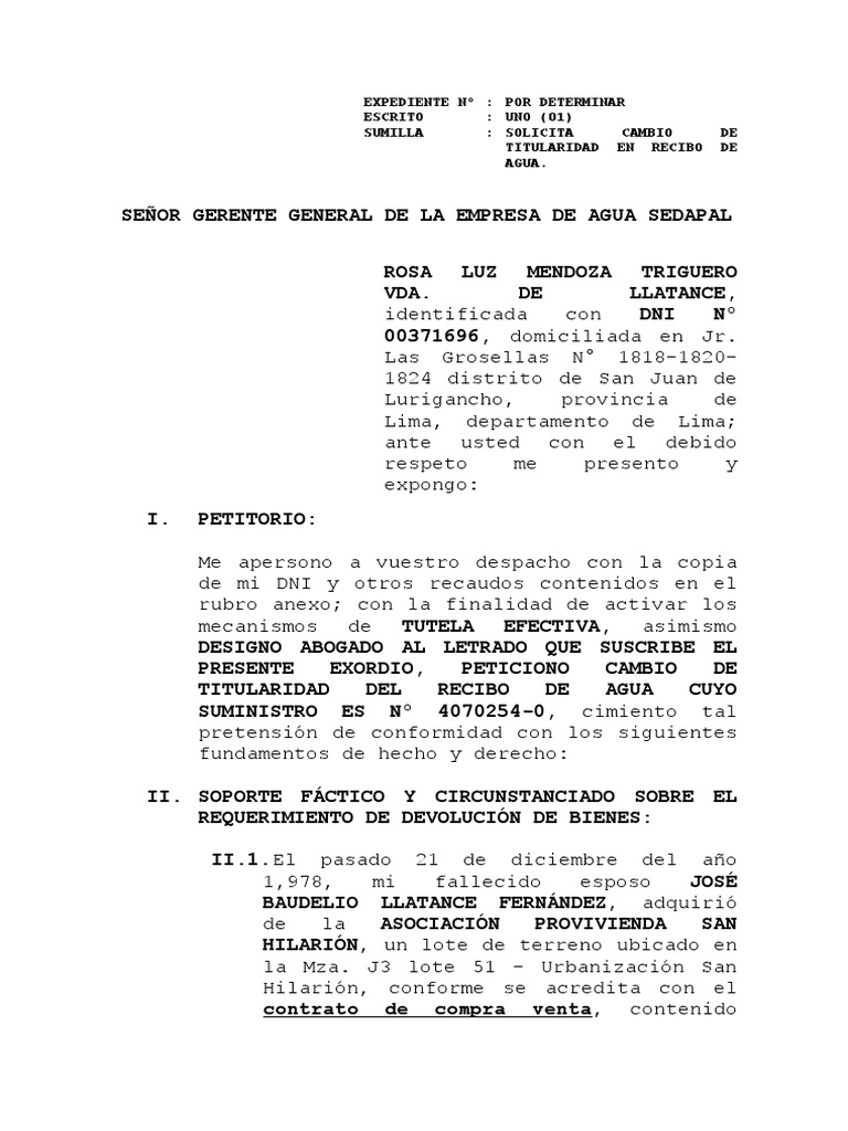 Sumilla Escrito Aduana Don Francisco | Justicia | Crimen y violencia