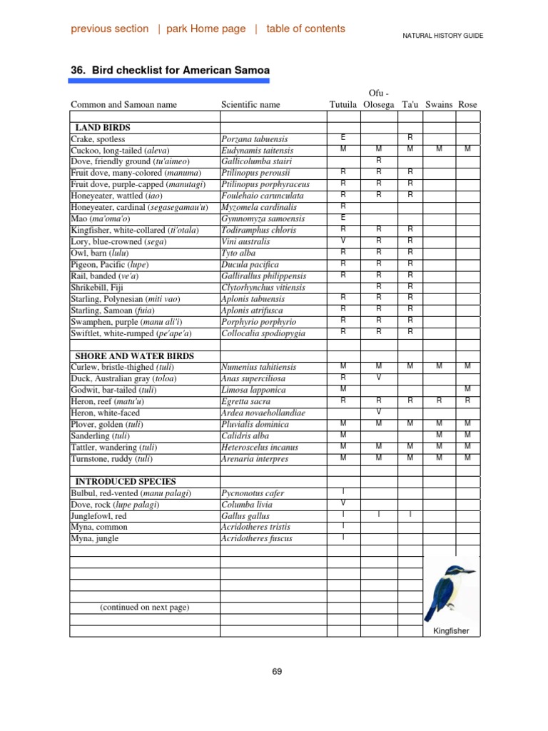 bird checklist for american samoa | Bat | Birds