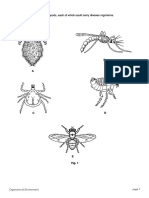 Core 1: Organisms & Environment