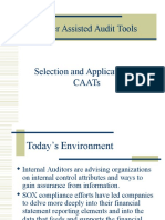 Computer Assisted Audit Tools