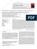 Neural Correlates of Focused Attention and Cognitive Monitoring in Meditation